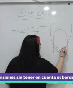 Descripción gráfica estructura de uñas